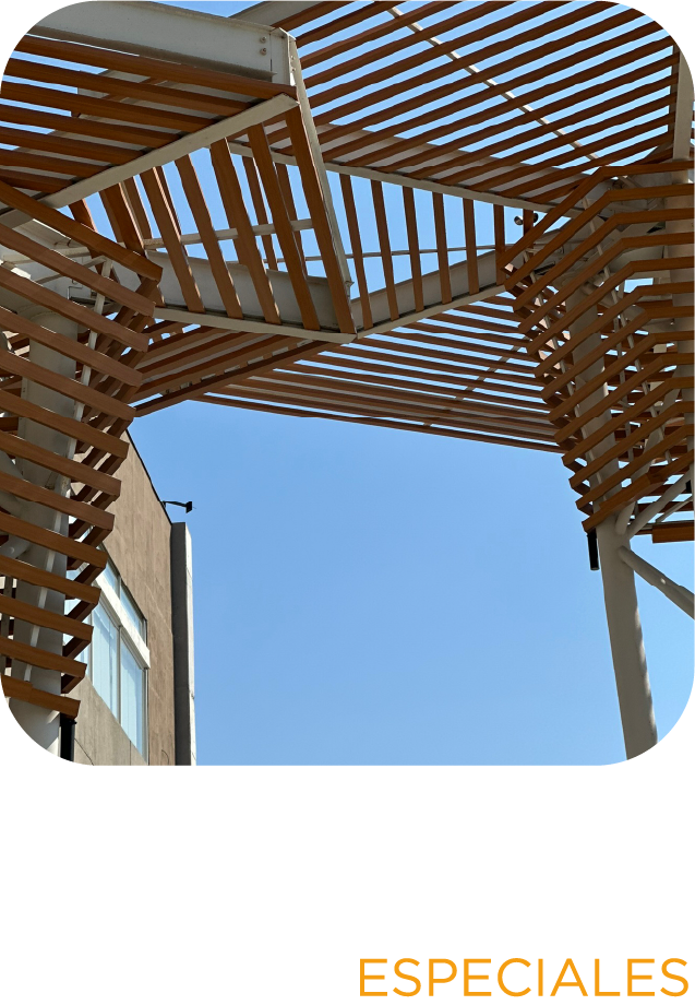 Proyectos Especiales